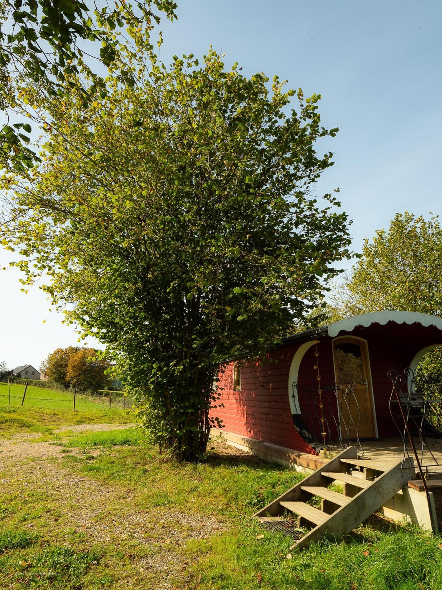 La Tiny House De La Bergerie Lierneux Exterior foto
